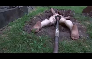 XXX یک زن بالغ یک مرد جوان را لعنتی می کند دانلود فیلم سکسی از پورنو